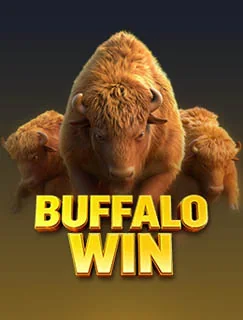 Buffalo Win by PG SOFT cover